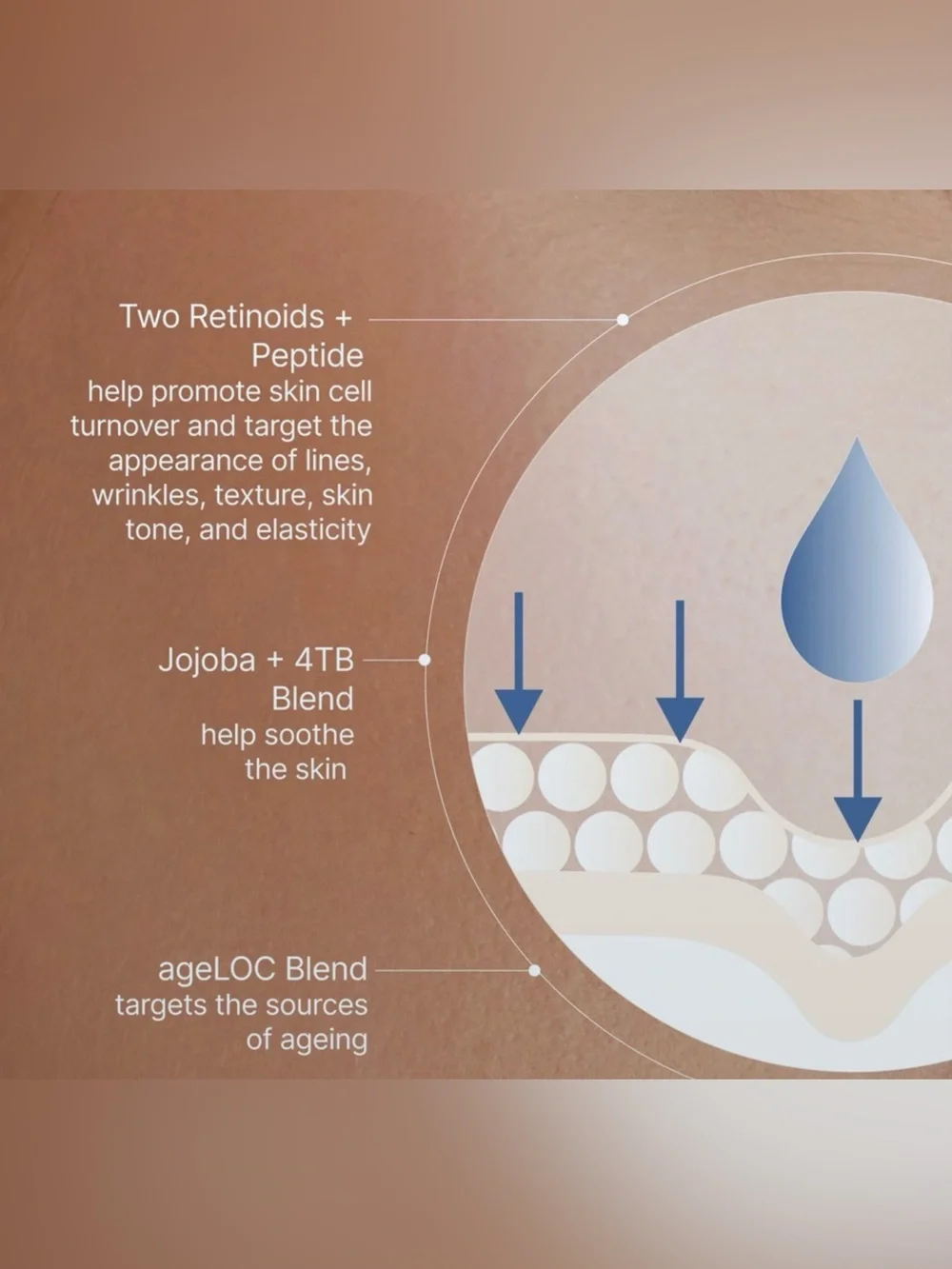 ageLOC® Tru Face® Peptide Retinol Complex